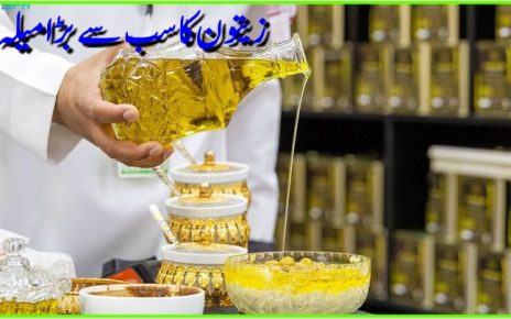 زیتون کا سب سے بڑا میلہ