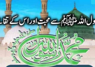 حب رسولﷺ، آداب اور تقاضے