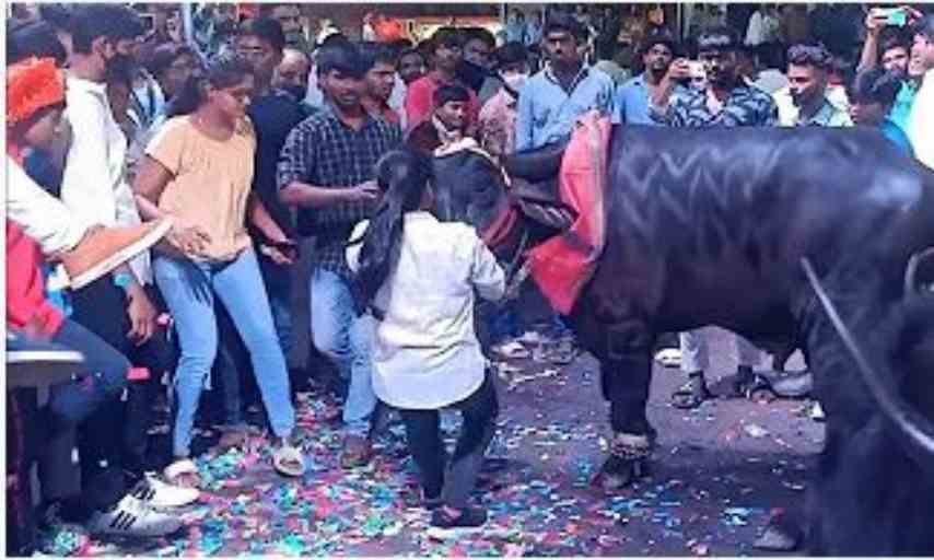 Sadar Festival 2022 in Telangana